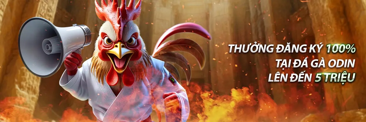 Giao diện đăng nhập an toàn của OK9