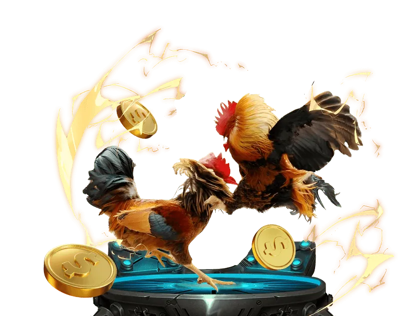 Cá cược bóng đá với hình ảnh sân cỏ và cúp vô địch